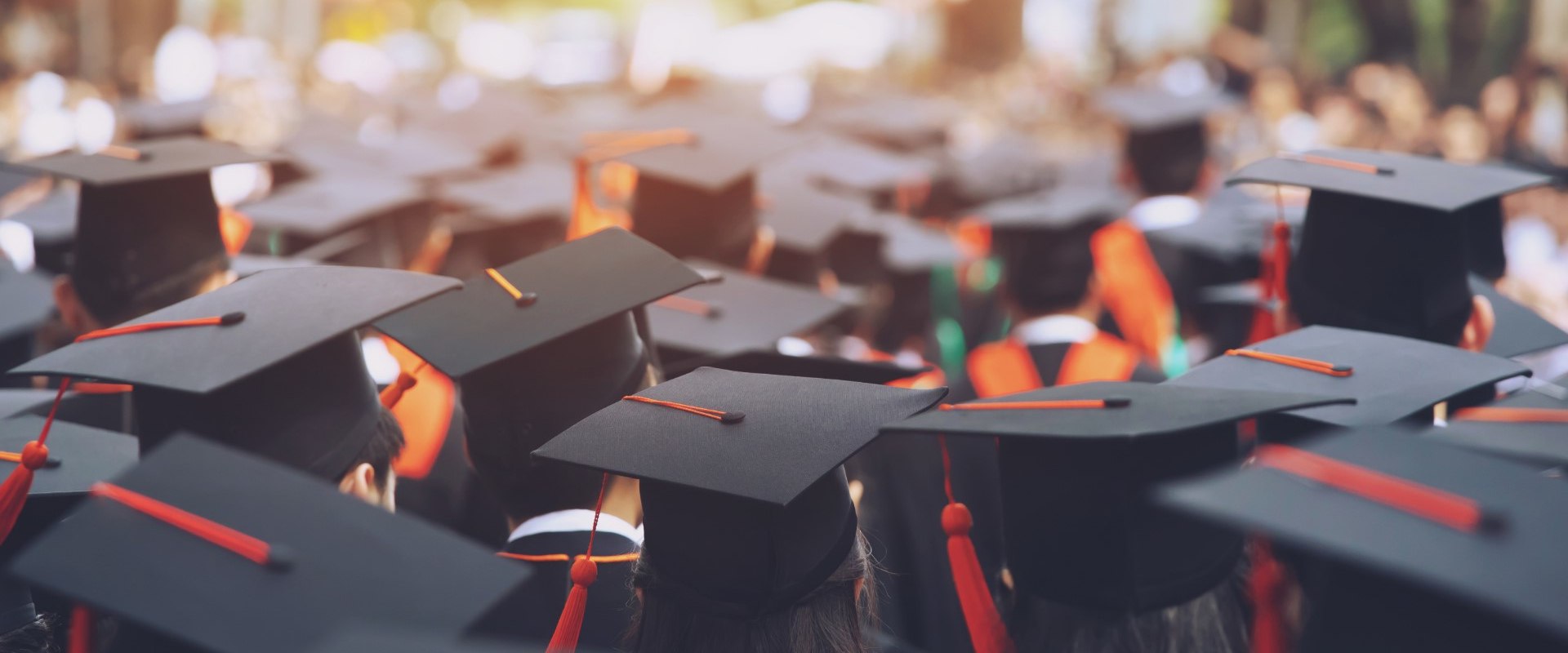Uncovering Scholarships for Central Texas Nonprofit Organizations